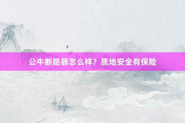 公牛断路器怎么样？质地安全有保险